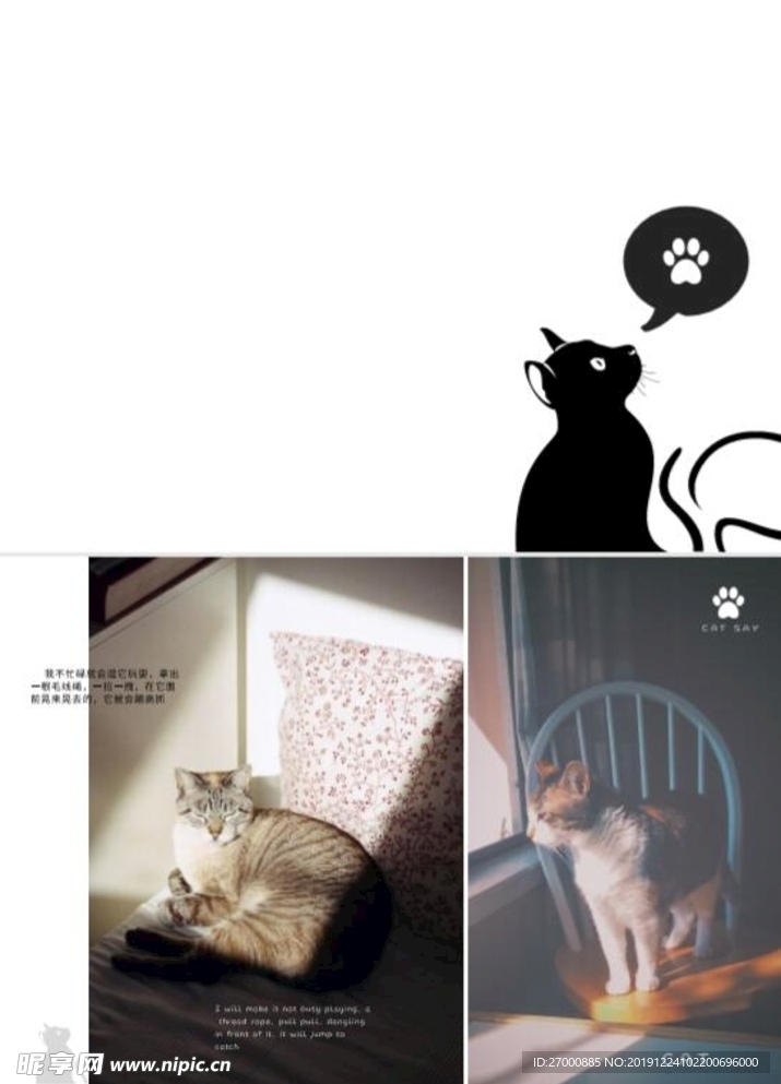 猫画册