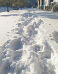 雪的印记 雪地 东北 冬天 冬