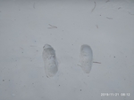 雪脚印