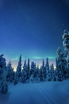 冬天雪景