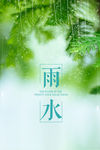 雨水