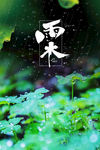雨水