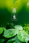雨水