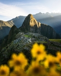 山 阳光