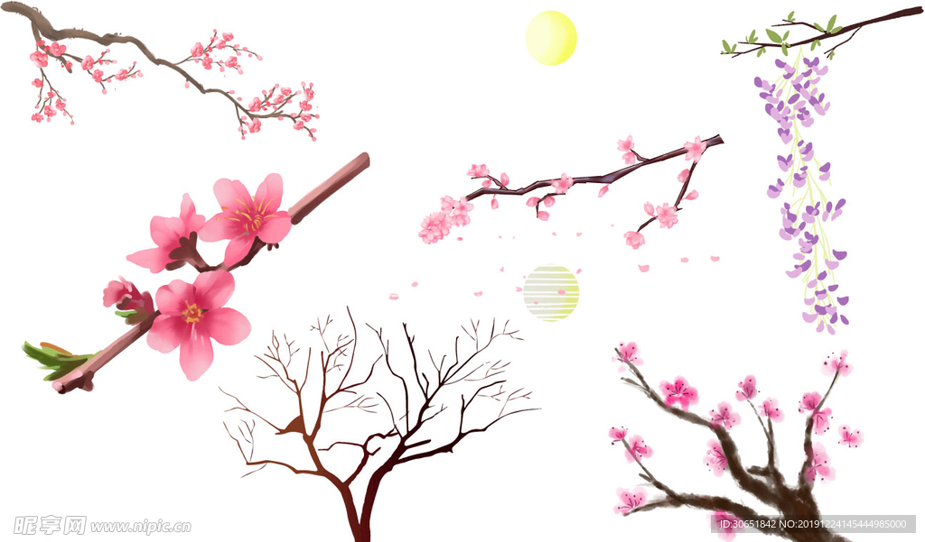 花枝