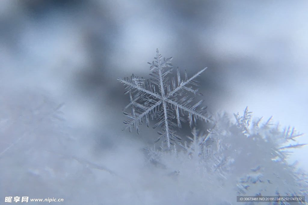 晶莹剔透的雪花