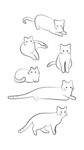 简笔画猫