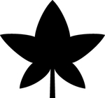 植物系列 树叶
