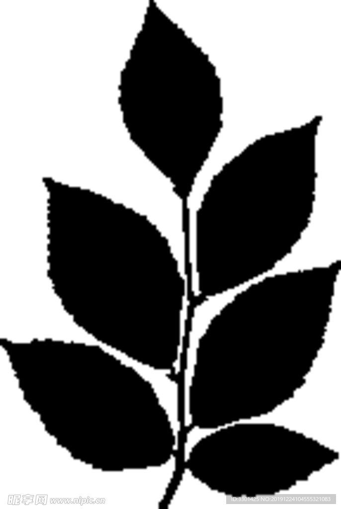 植物系列 树叶