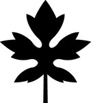 植物系列 掌形树叶
