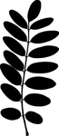 植物系列 树叶