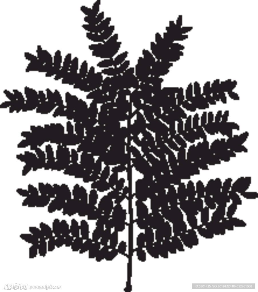 植物系列 树叶