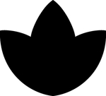 植物系列 树叶