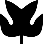 植物系列 树叶