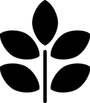 植物系列 树叶