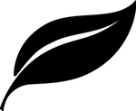 植物系列 树叶
