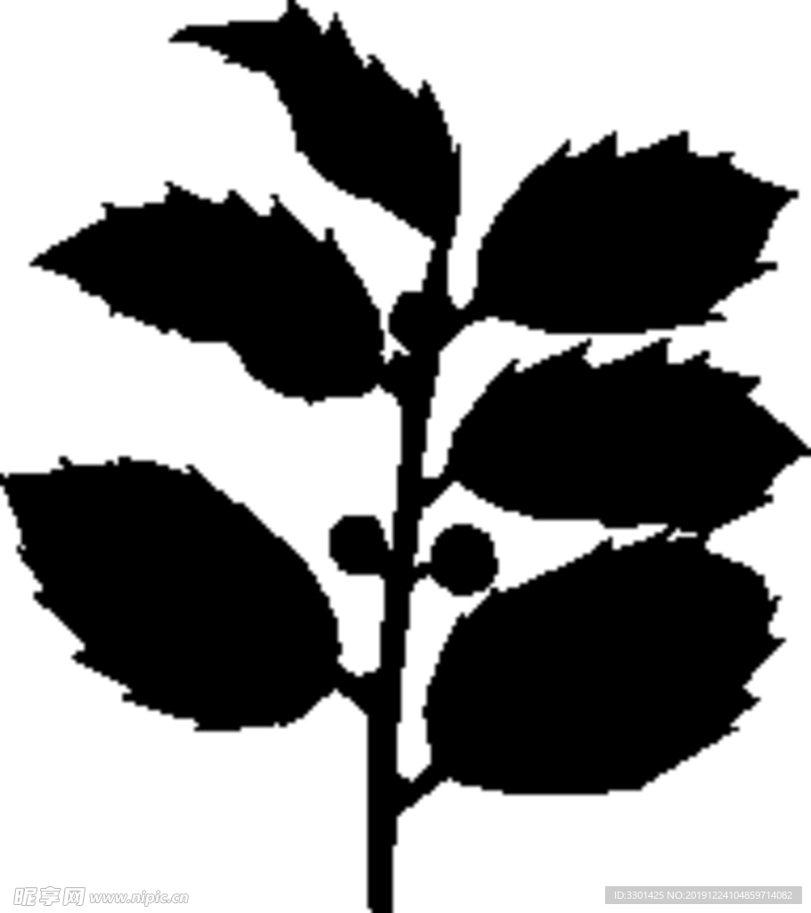 植物系列 树叶