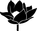 花卉系列 荷花