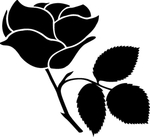 花卉系列 玫瑰花
