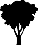 植物系列 树木