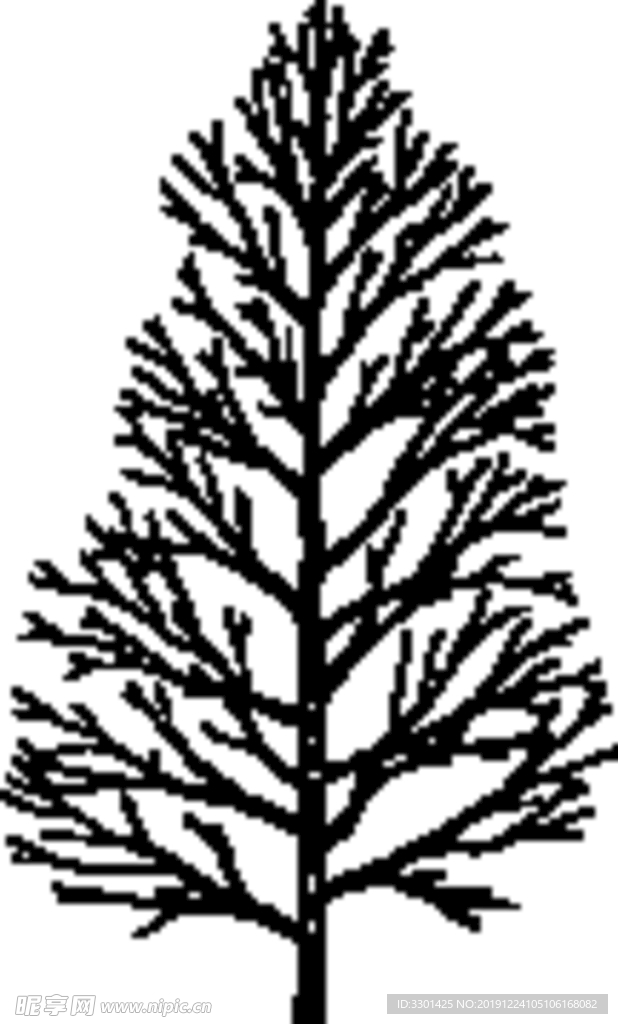 植物系列 树木树干
