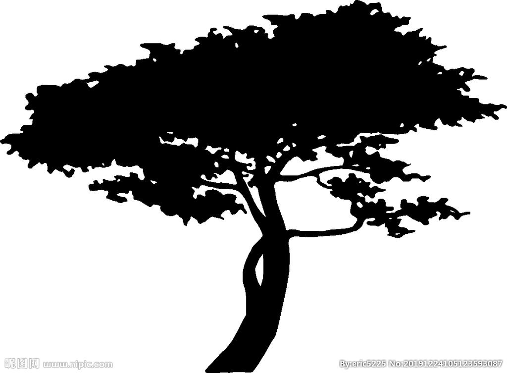植物系列  古松树