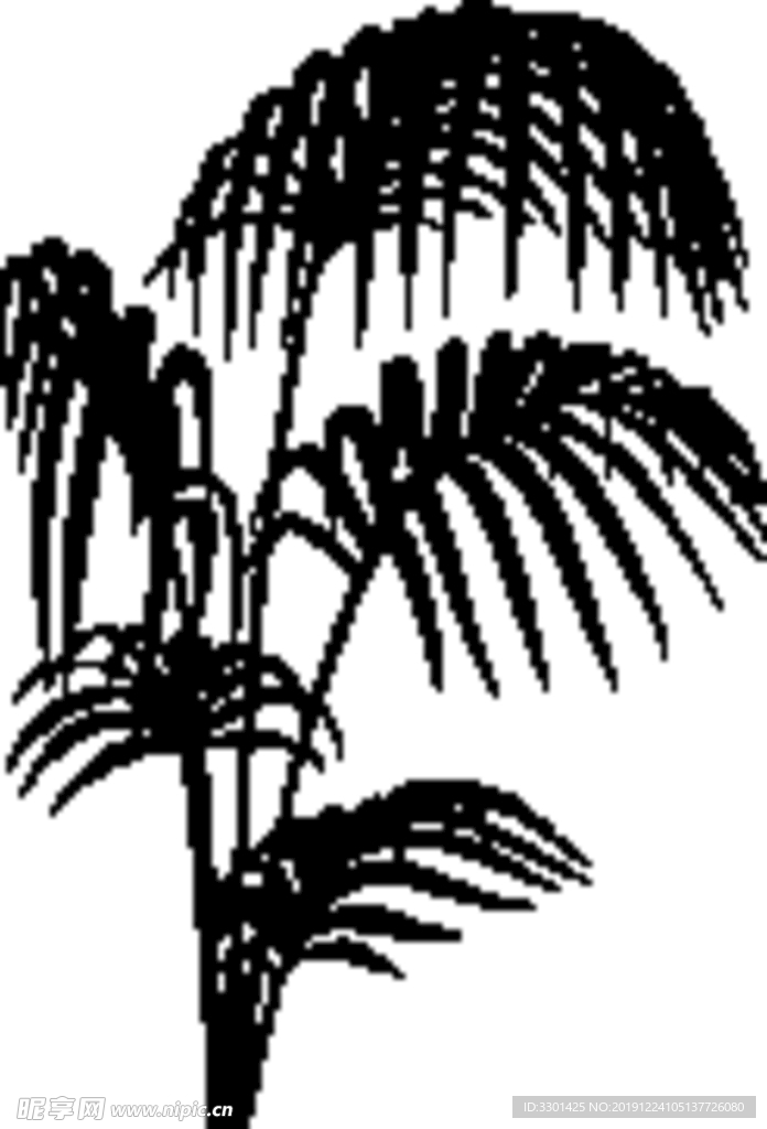 植物系列 袖珍椰子