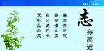廉政文化建设