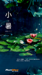 小暑海报
