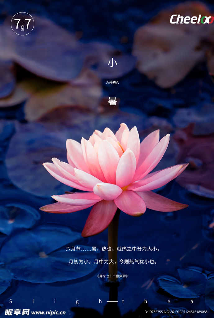 小暑海报