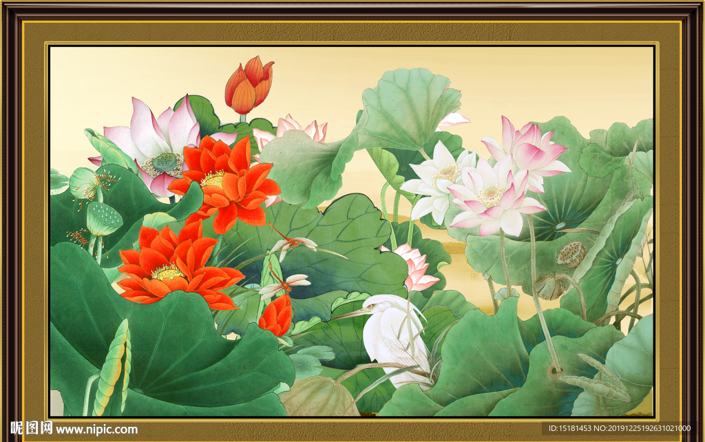 荷花