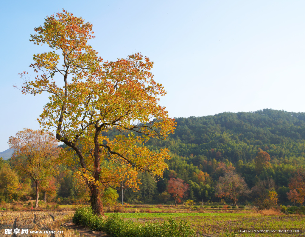 塔川