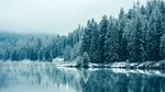 雪景