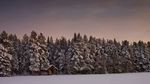 雪景