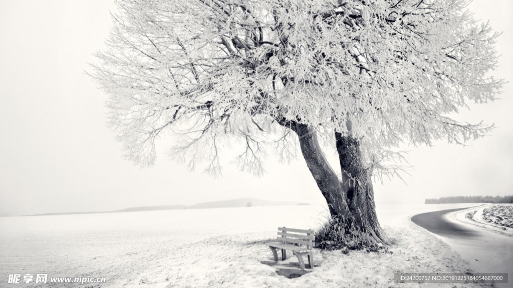 雪景