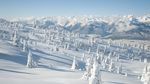 雪景
