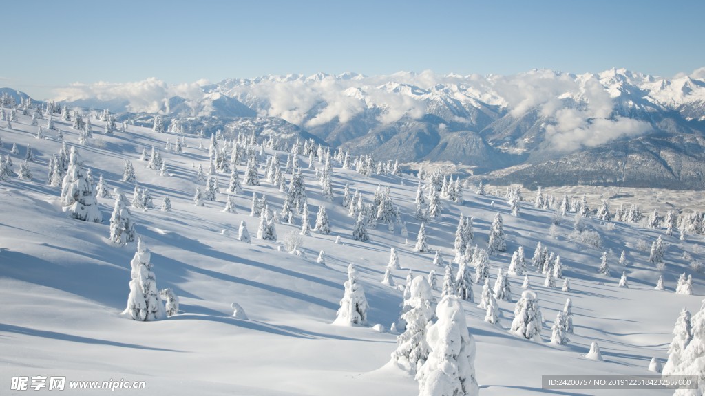 雪景