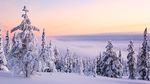 雪景