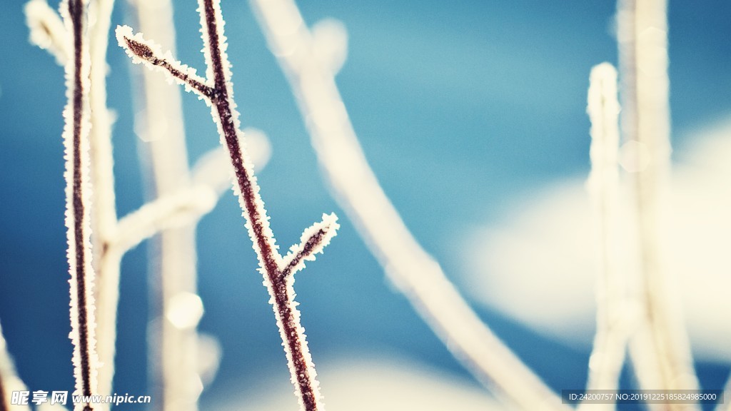 雪景