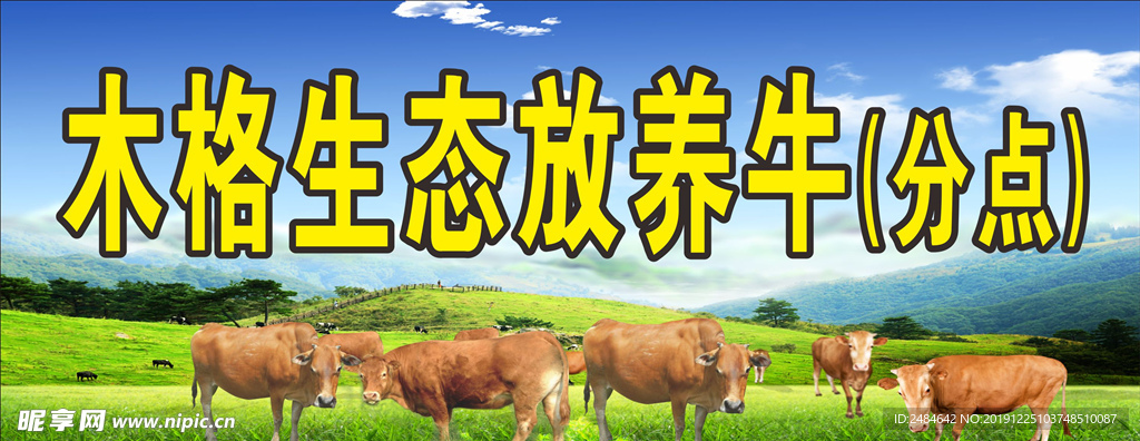 放养牛
