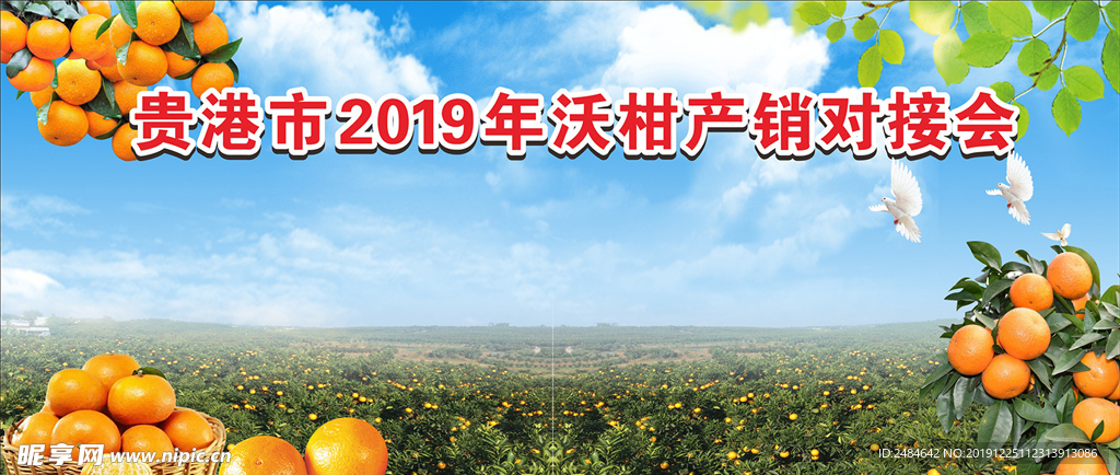 沃柑展销会