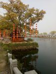 蠡园风景