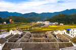 丰收农村
