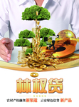 金融贷款 贷款 小额贷款
