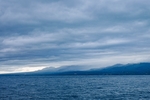 海洋