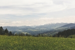 山顶