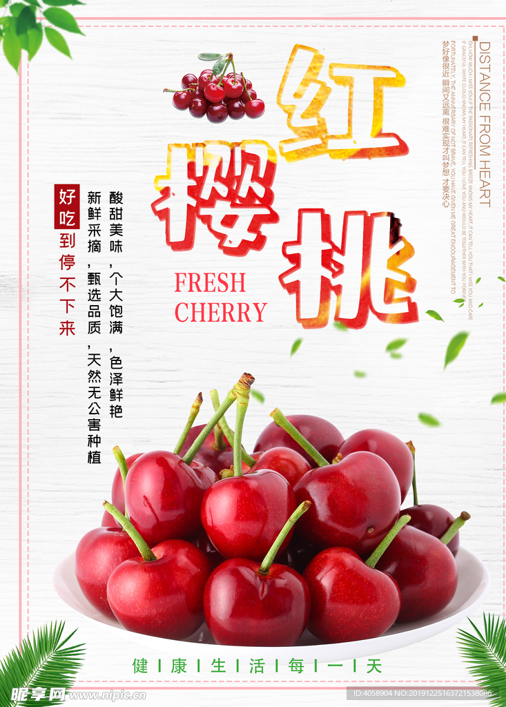 樱桃