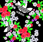 阿迪达斯 Adidas 大牌