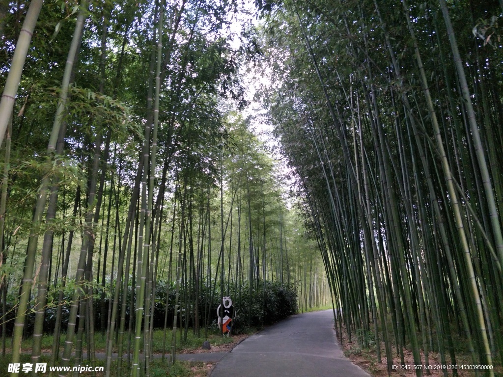 竹林