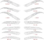 眉毛眉型